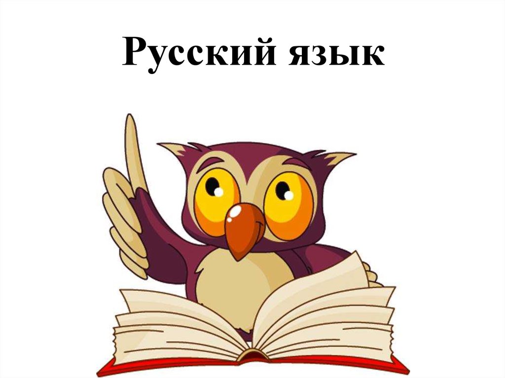 Консультации по русскому языку.